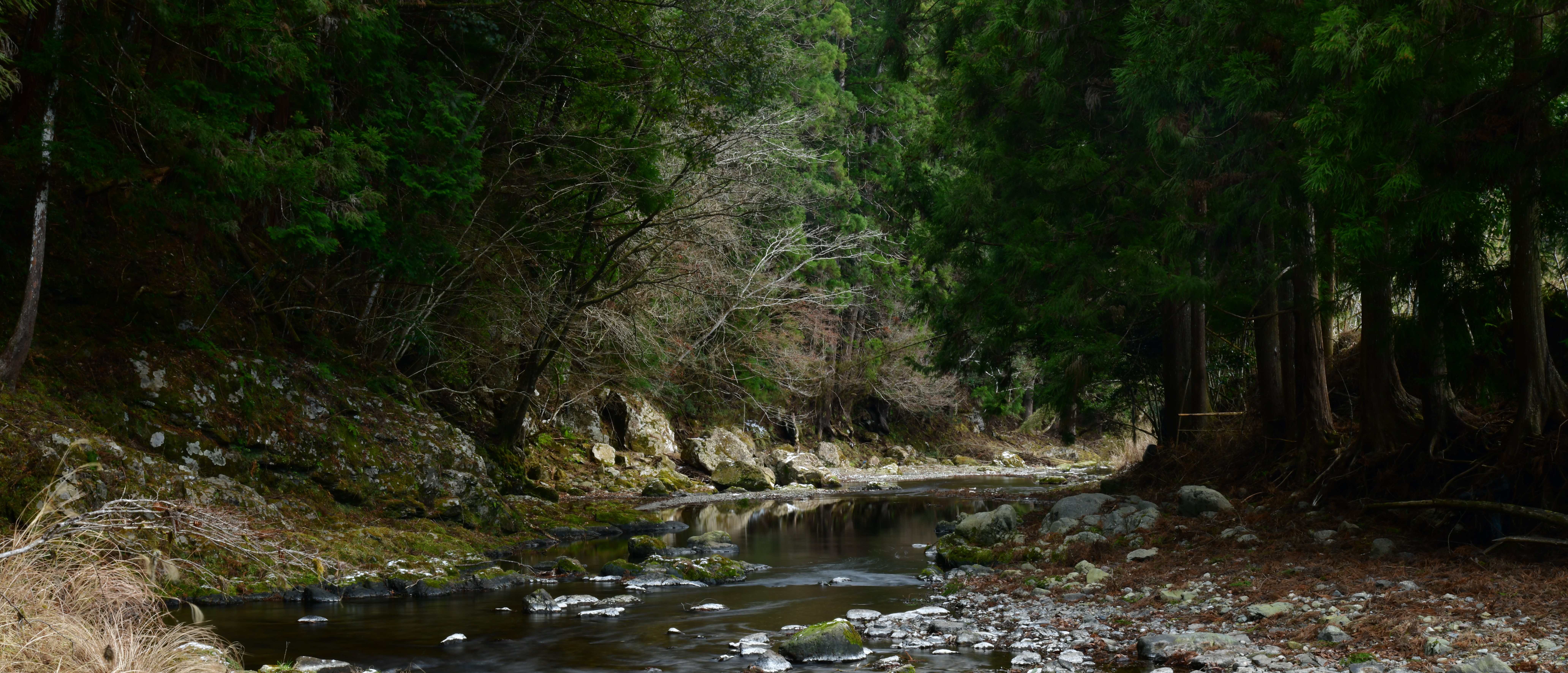 キャンプ場イメージ